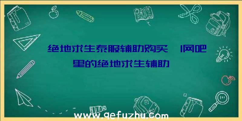 「绝地求生泰服辅助购买」|网吧里的绝地求生辅助